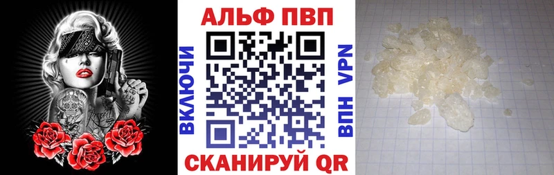 A PVP СК КРИС  Южно-Сухокумск 