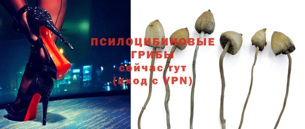 прущие крисы Лагань