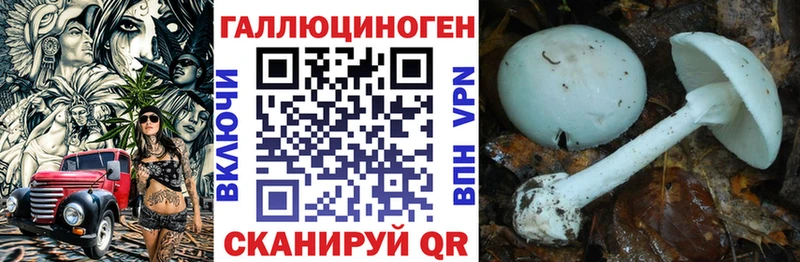 Псилоцибиновые грибы GOLDEN TEACHER  Южно-Сухокумск 